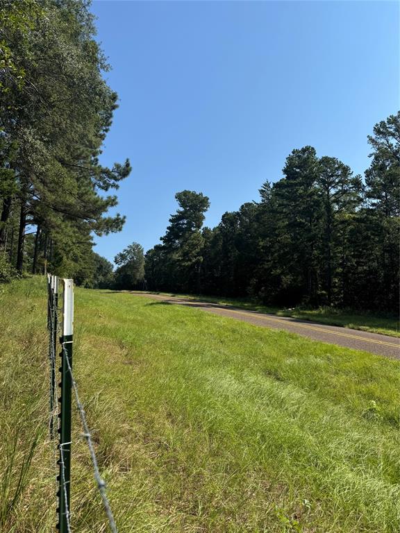 6446 Farm To Market Road 752 Rusk, TX 75785 - Photo 29 of 40 a view of a yard with a tree