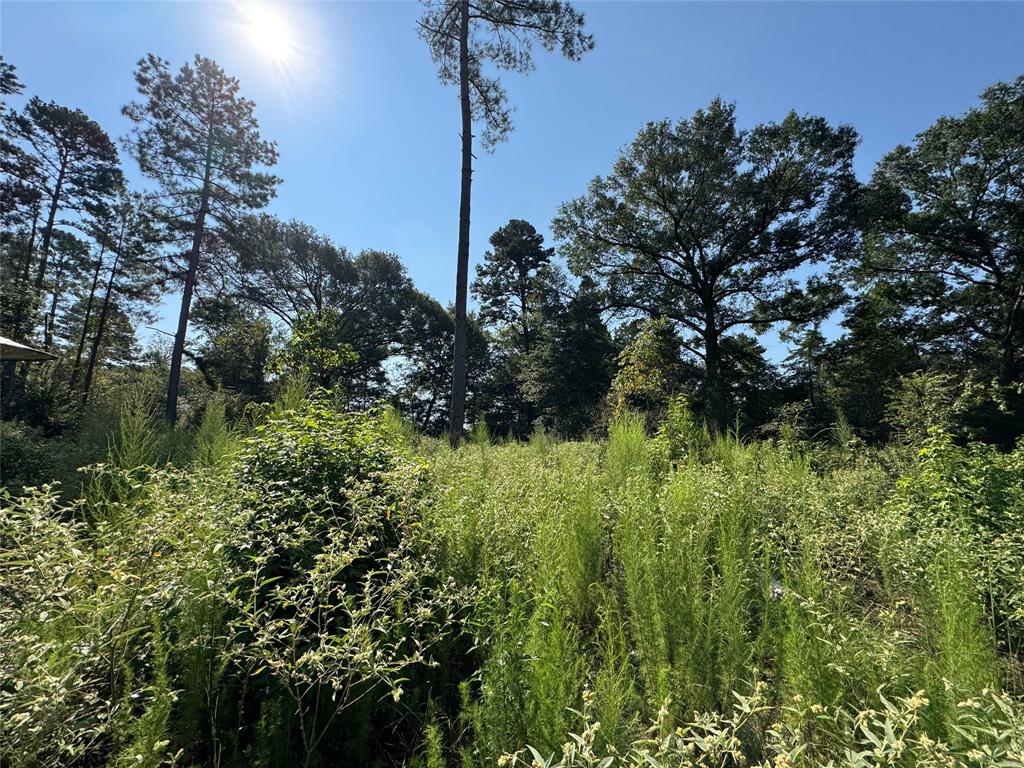 6446 Farm To Market Road 752 Rusk, TX 75785 - Photo 31 of 40 a view of a garden