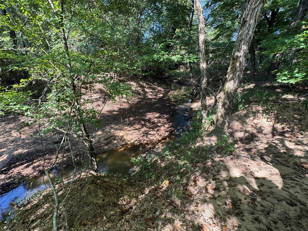 6446 Farm To Market Road 752 Rusk, TX 75785 - Photo 37 of 40 a view of a tree