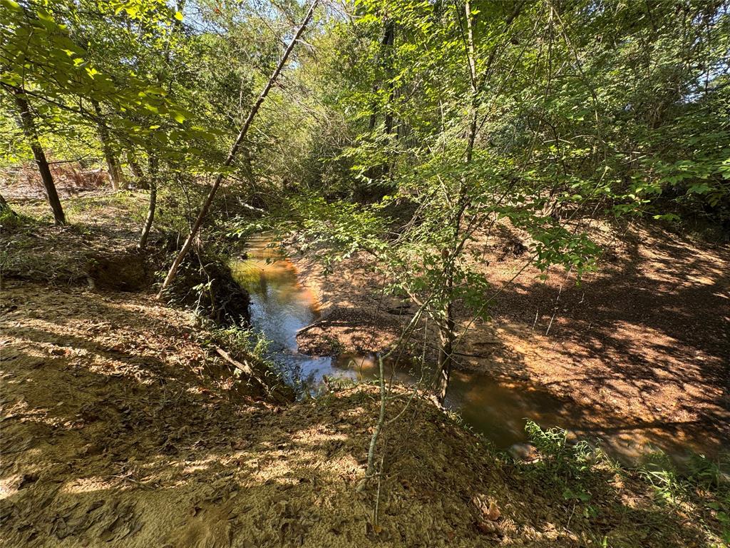 6446 Farm To Market Road 752 Rusk, TX 75785 - Photo 38 of 40 a backyard of a house