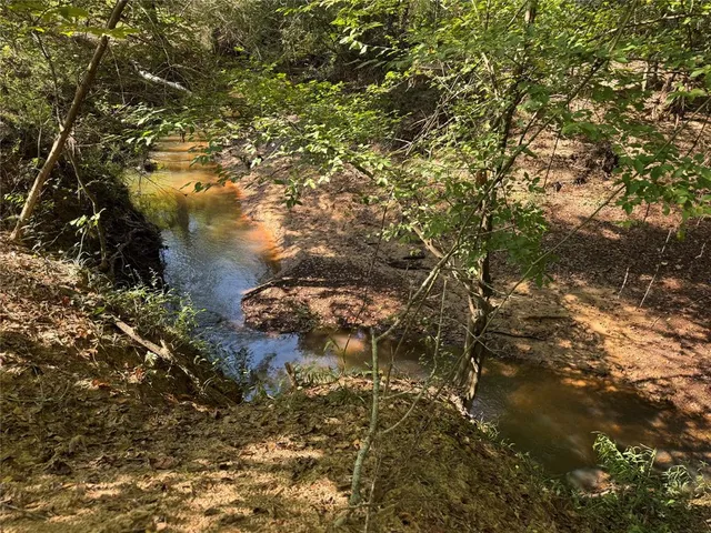 a view of a forest with trees