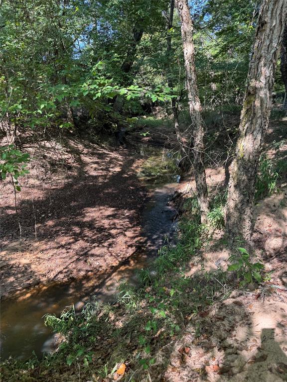 6446 Farm To Market Road 752 Rusk, TX 75785 - Photo 40 of 40 a view of a forest with trees