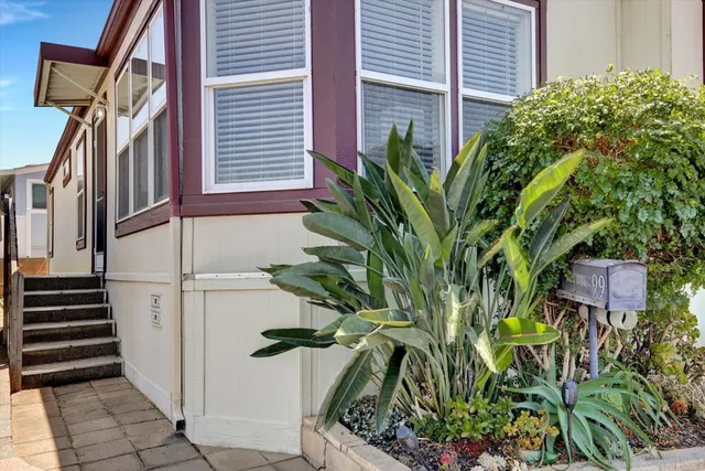 a view of a potted plants next to a building