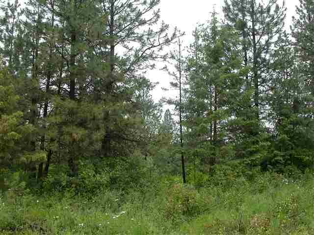 Xx East Bridges Road Elk, WA 99009 - Photo 2 of 9