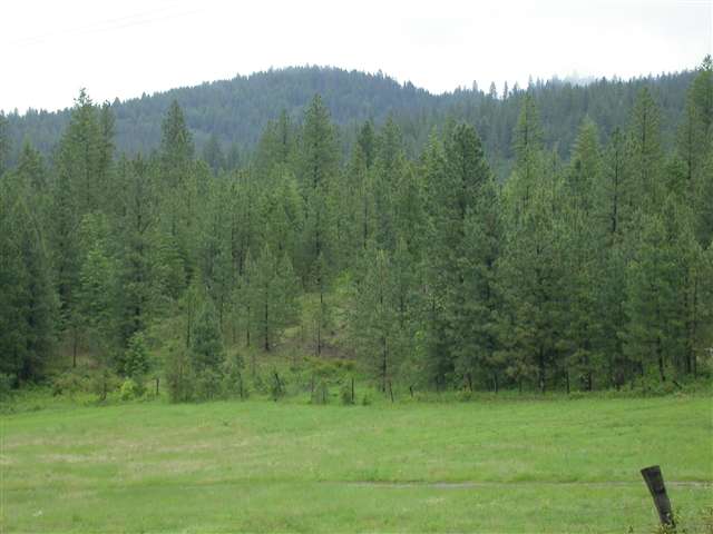 Xx East Bridges Road Elk, WA 99009 - Photo 3 of 9