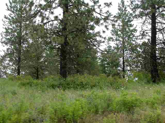 Xx East Bridges Road Elk, WA 99009 - Photo 8 of 9