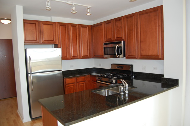 1255 South State Street, Unit 704 Chicago, IL 60605 - Photo 2 of 14 a kitchen with granite countertop stainless steel appliances a refrigerator a stove top oven and granite counter tops