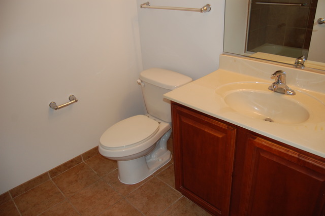 1255 South State Street, Unit 704 Chicago, IL 60605 - Photo 13 of 14 a bathroom with a sink a toilet and mirror
