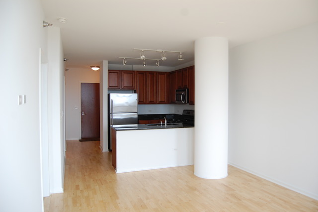 1255 South State Street, Unit 704 Chicago, IL 60605 - Photo 4 of 14 a view of a kitchen with a sink