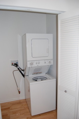 1255 South State Street, Unit 704 Chicago, IL 60605 - Photo 7 of 14 a utility room with dryer and washer
