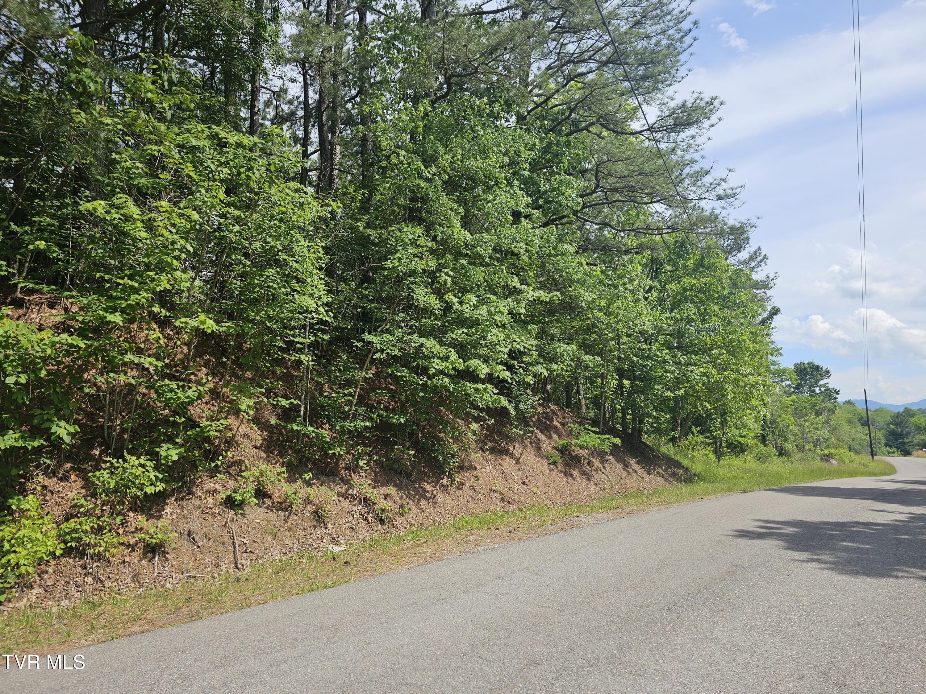 Tbd Old Hurricane Road Northeast Wise, VA 24293 - Photo 2 of 8 from road