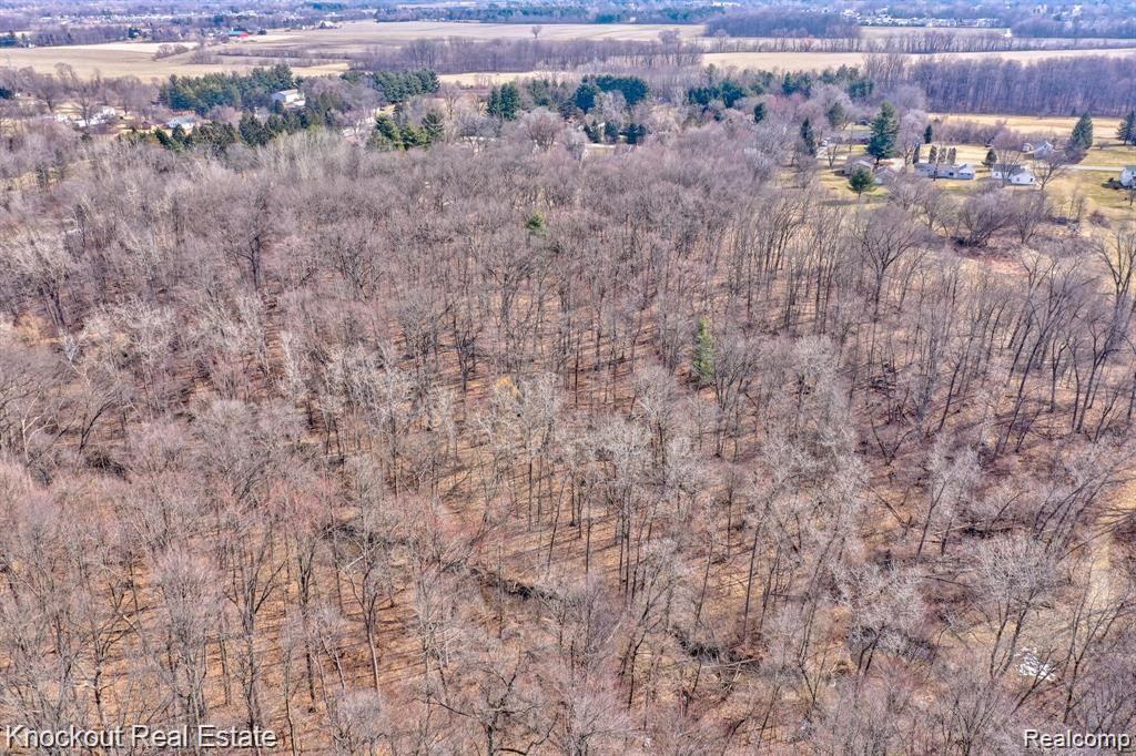 9151 Neff Road Clio, MI 48420 - Photo 60 of 69