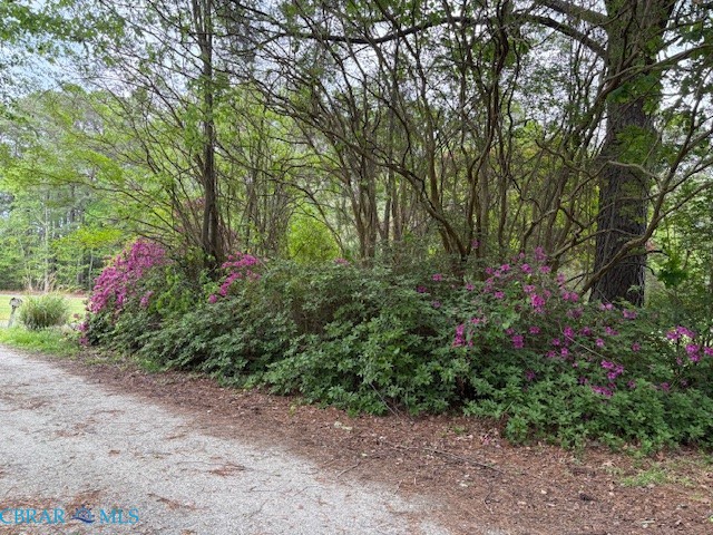 1080 Crab Neck Road Hudgins, VA 23076 - Photo 4 of 18