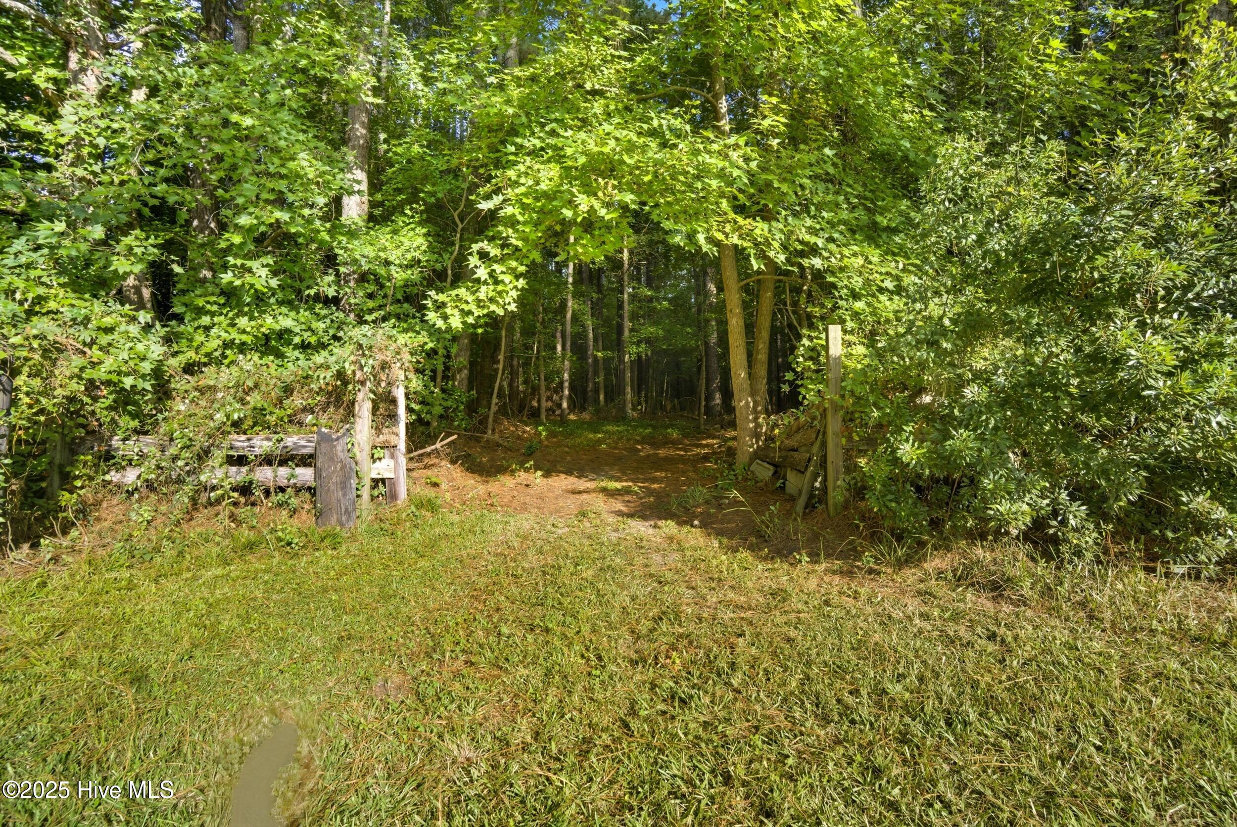 1370 Middle Swamp Road Corapeake, NC 27926 - Photo 60 of 65 Back Yard