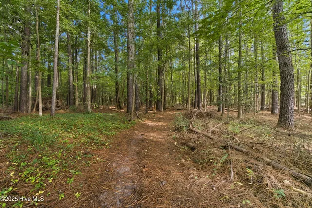 $475,000 | 1370 Middle Swamp Road, Corapeake, NC 27926