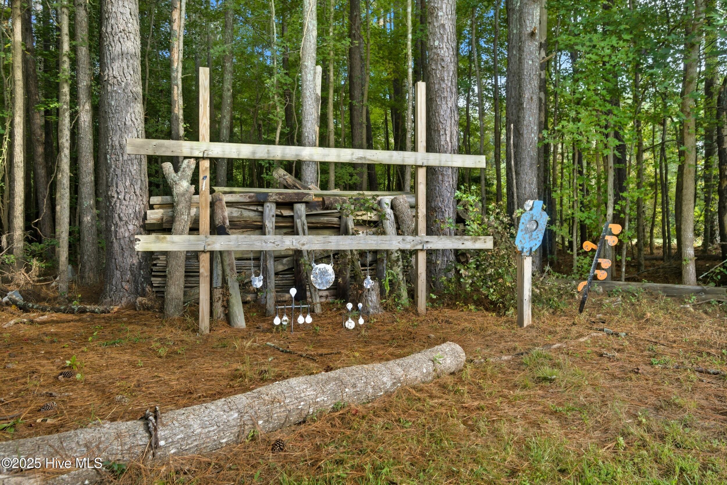 1370 Middle Swamp Road Corapeake, NC 27926 - Photo 62 of 65 Back Yard