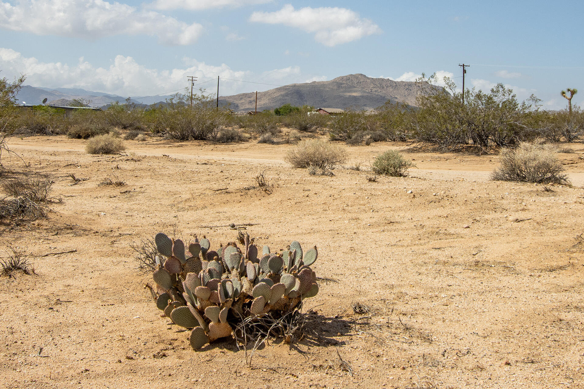 401 Stonehill Avenue Joshua Tree, CA 92252 - Photo 19 of 20 a view of a snow on the beach
