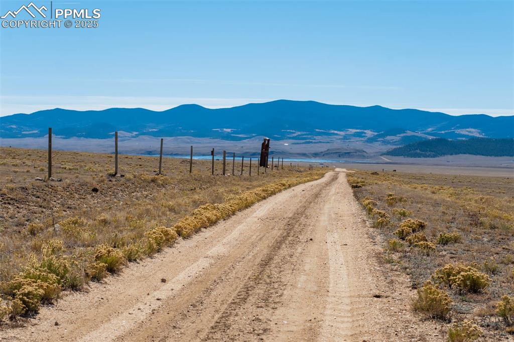 1354 Puma Hills Road Lake George, CO 80827 - Photo 15 of 50 a view of a backyard of a house