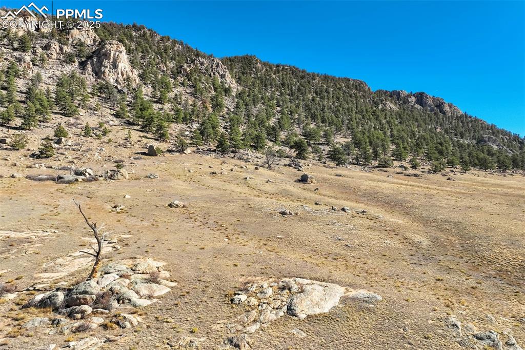 1354 Puma Hills Road Lake George, CO 80827 - Photo 29 of 50 a view of a beach with a yard