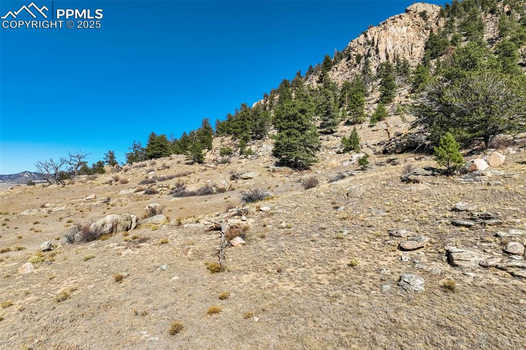1354 Puma Hills Road Lake George, CO 80827 - Photo 31 of 50 a view of a dry yard with trees