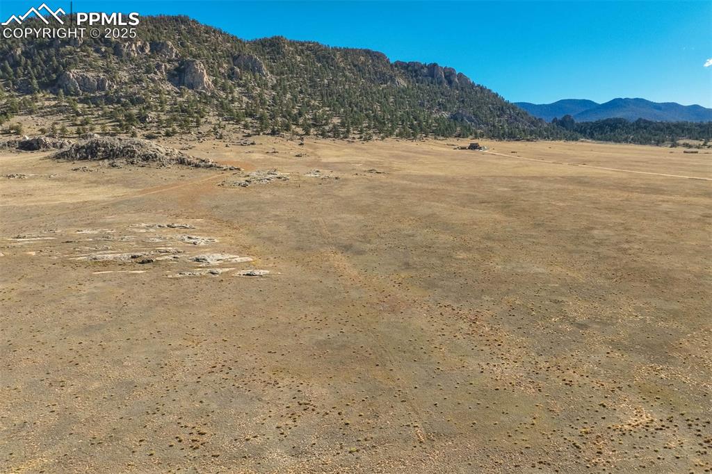 1354 Puma Hills Road Lake George, CO 80827 - Photo 42 of 50