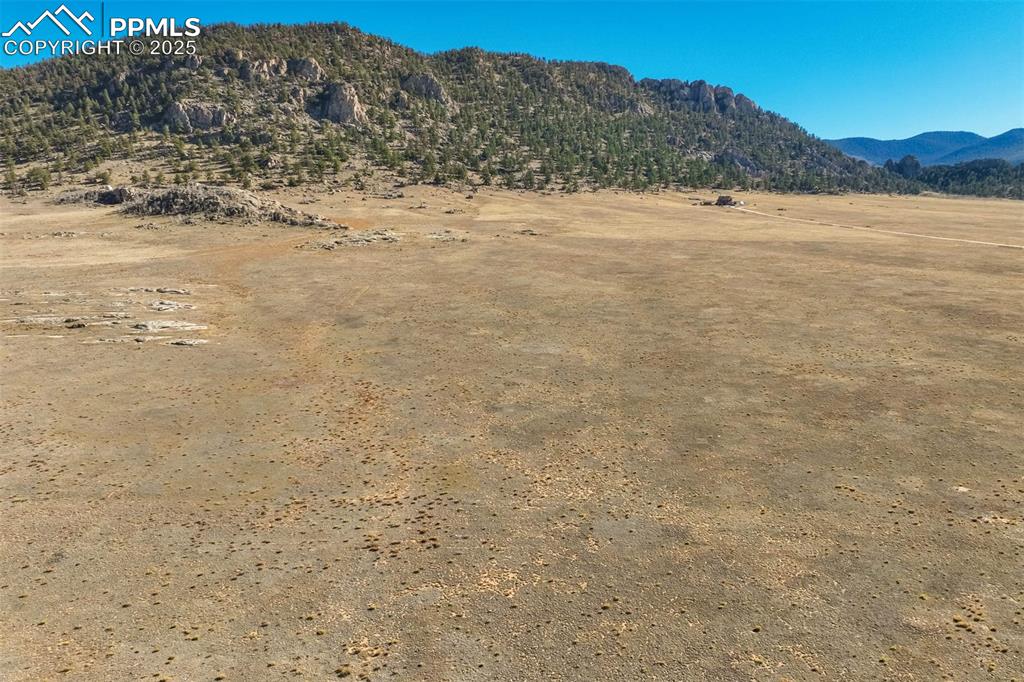 1354 Puma Hills Road Lake George, CO 80827 - Photo 44 of 50