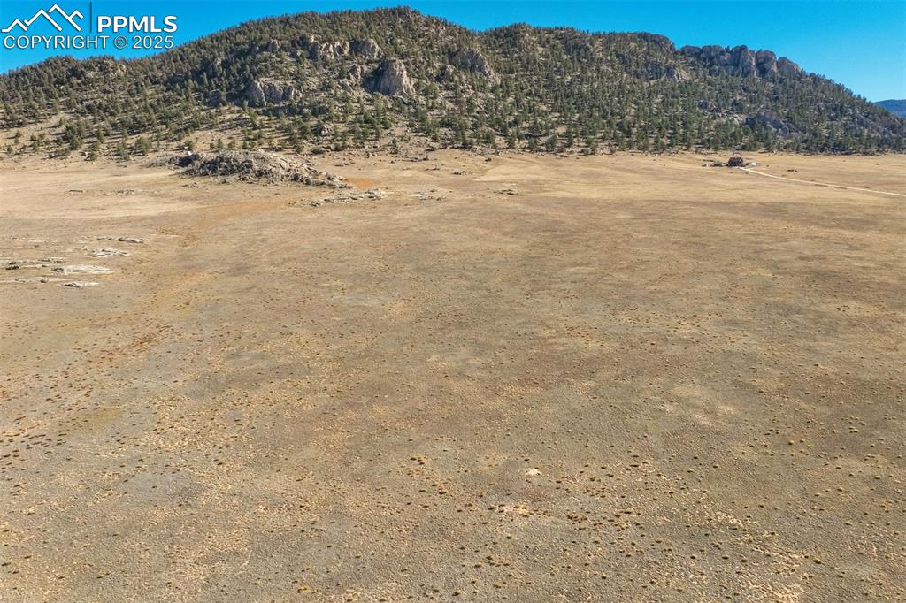 1354 Puma Hills Road Lake George, CO 80827 - Photo 45 of 50