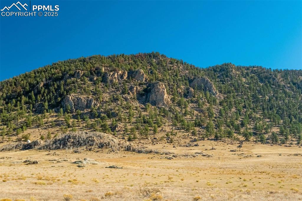1354 Puma Hills Road Lake George, CO 80827 - Photo 48 of 50 a view of a ocean view