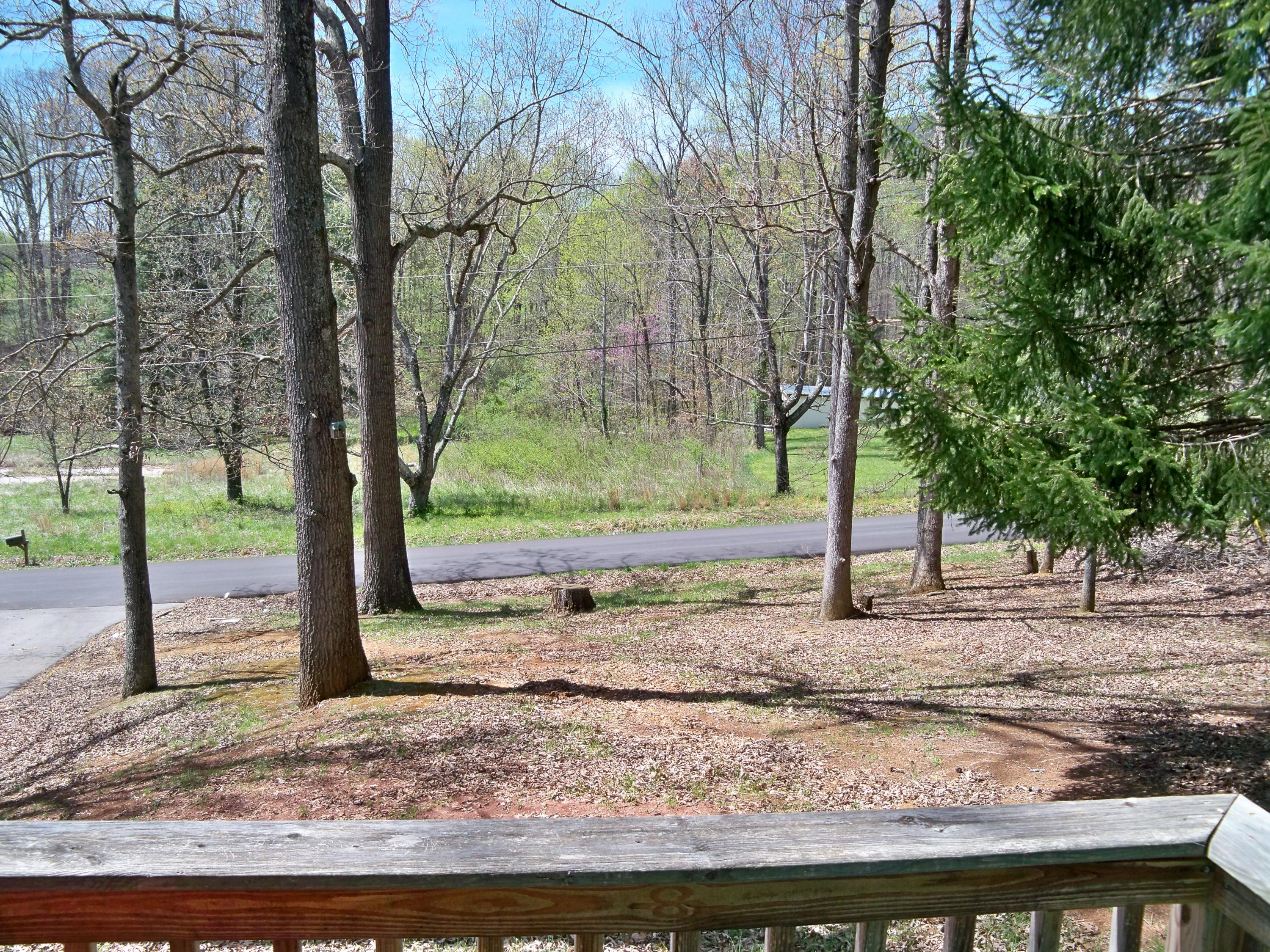 473 Ritz View Drive Blaine, TN 37709 - Photo 18 of 23 100_9780