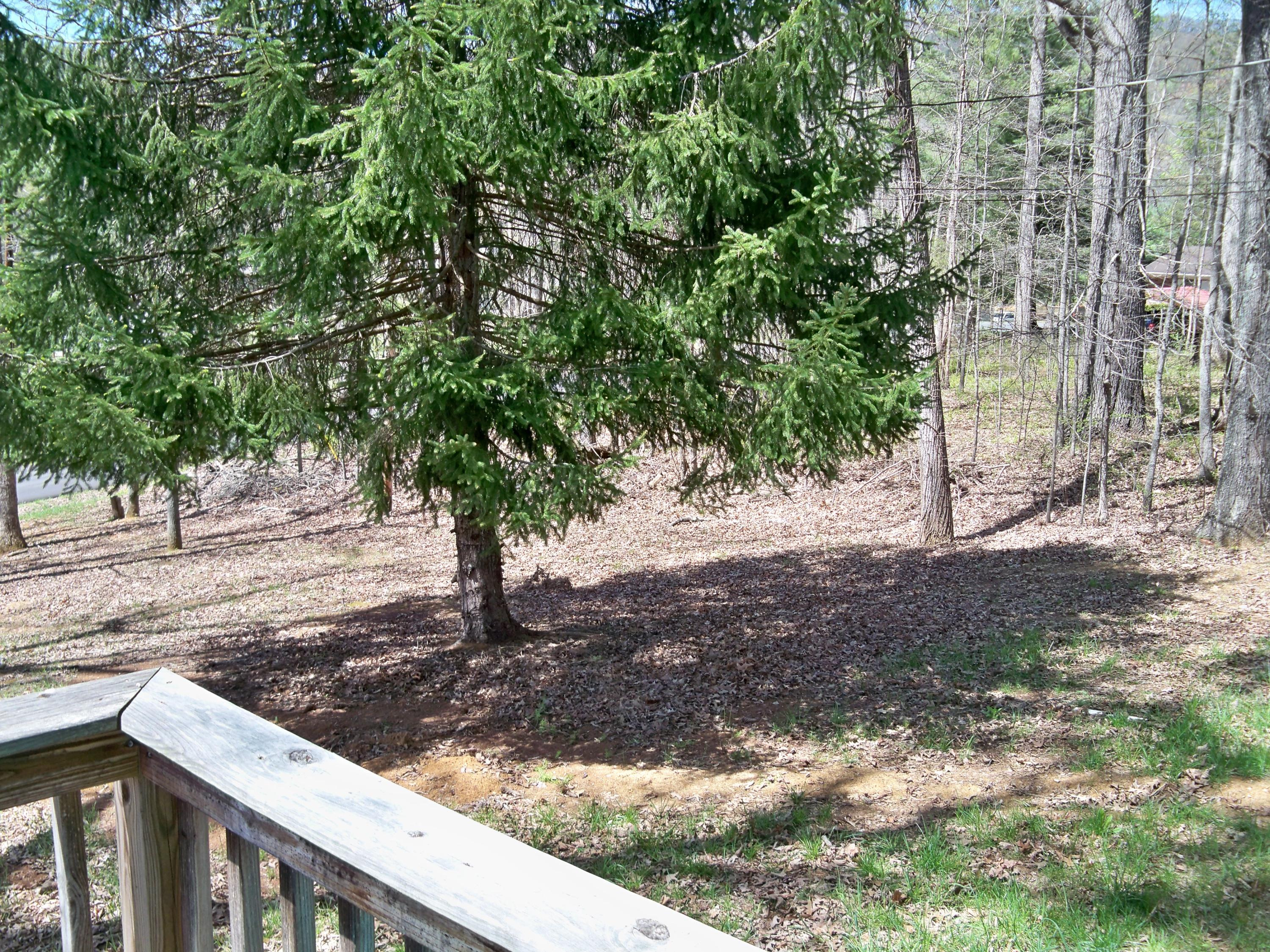 473 Ritz View Drive Blaine, TN 37709 - Photo 19 of 23 100_9781