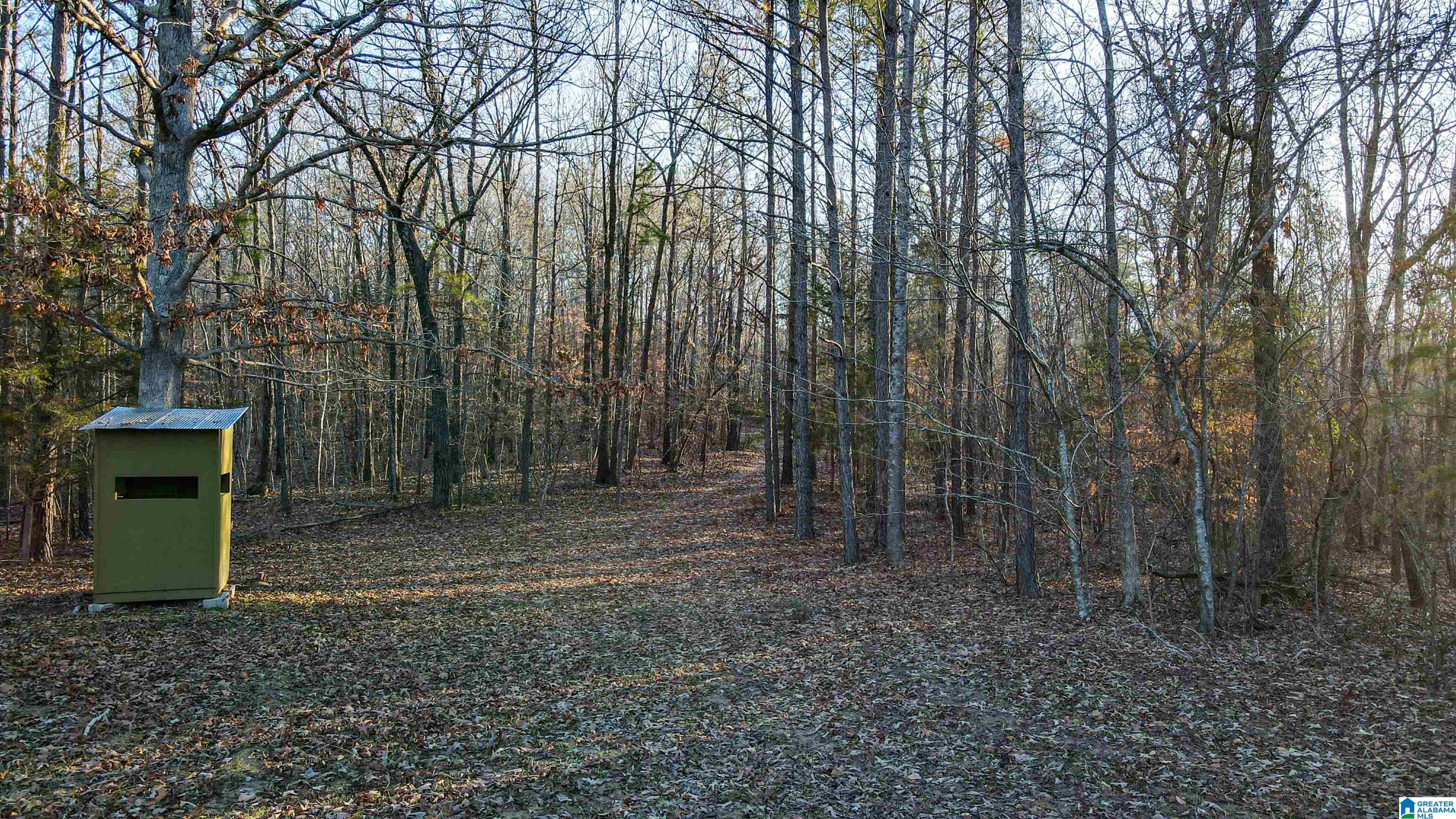 29 Highway Hamilton Al, Unit 1 Hamilton, AL 35570 - Photo 6 of 55