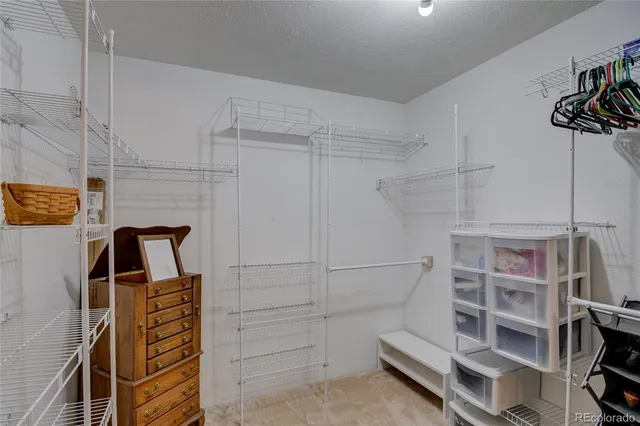 a bathroom with a shower and a toilet