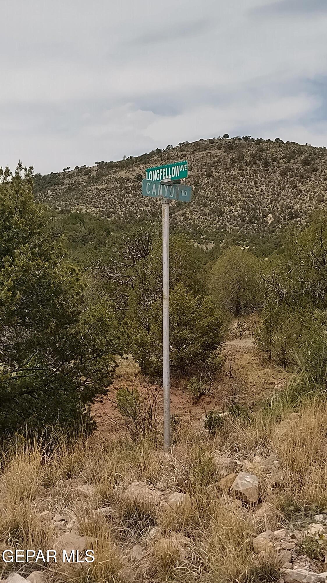 60 Canyon Road Timberon, NM 88350 - Photo 8 of 8 a view of a city