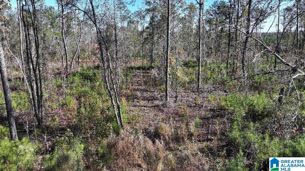 200 Kelly Creek Road Odenville, AL 35120 - Photo 43 of 47