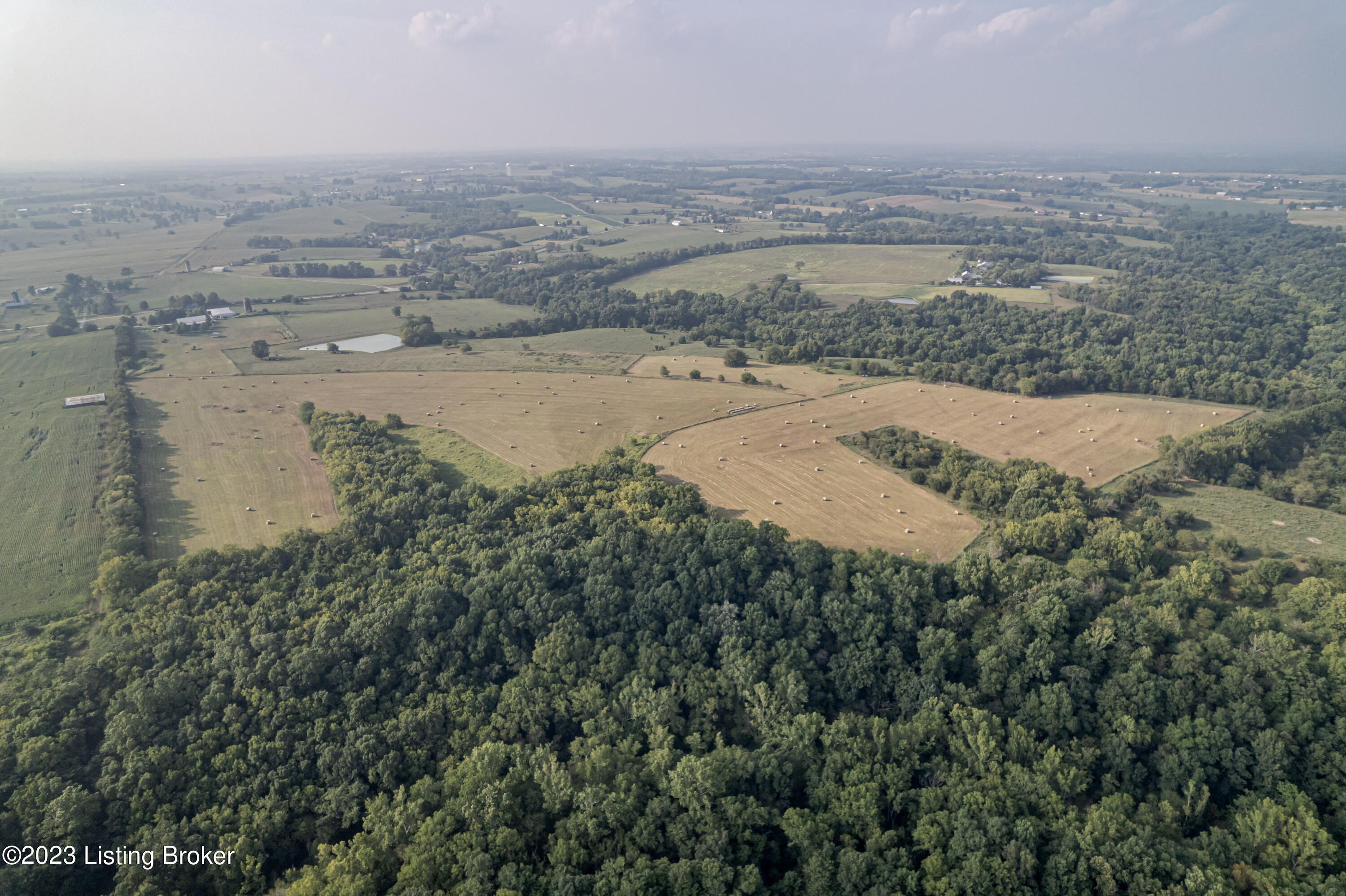 855 Drennon Road New Castle, KY 40050 - Photo 21 of 117 Farm17