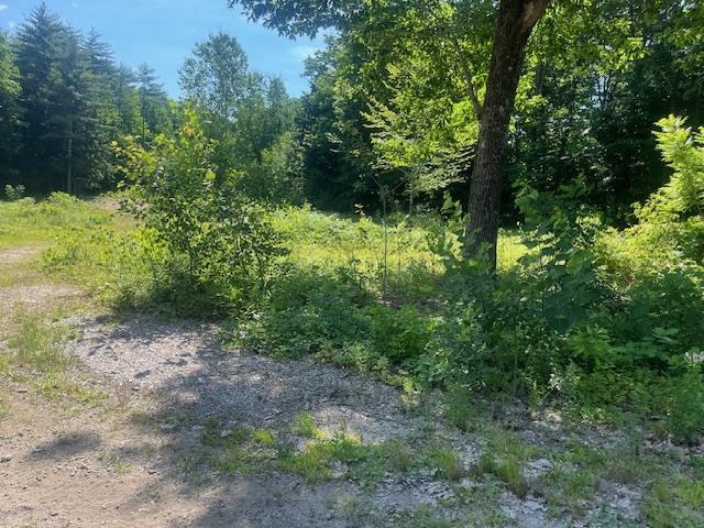 23 Summit View Drive Tamworth, NH 03814 - Photo 3 of 5