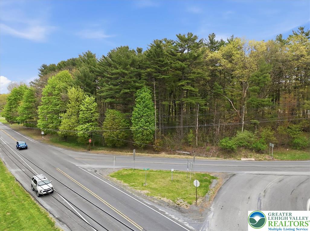Interchange Road Lehighton, PA 18235 - Photo 6 of 40 A verdant tree line borders a route 209 and Forest Inn Road corner.