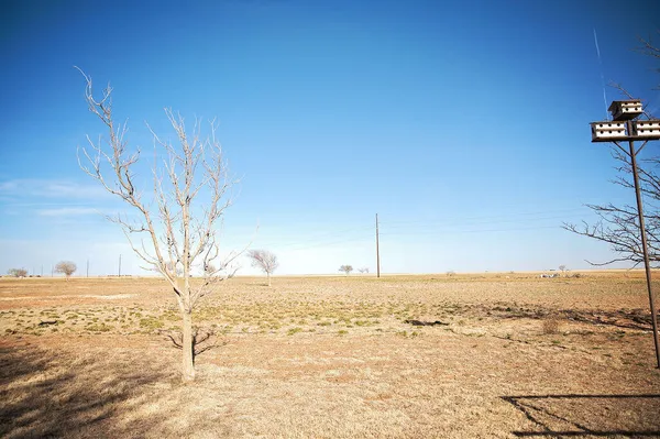 $365,000 | 2581 County Road 365, Plains, TX 79355