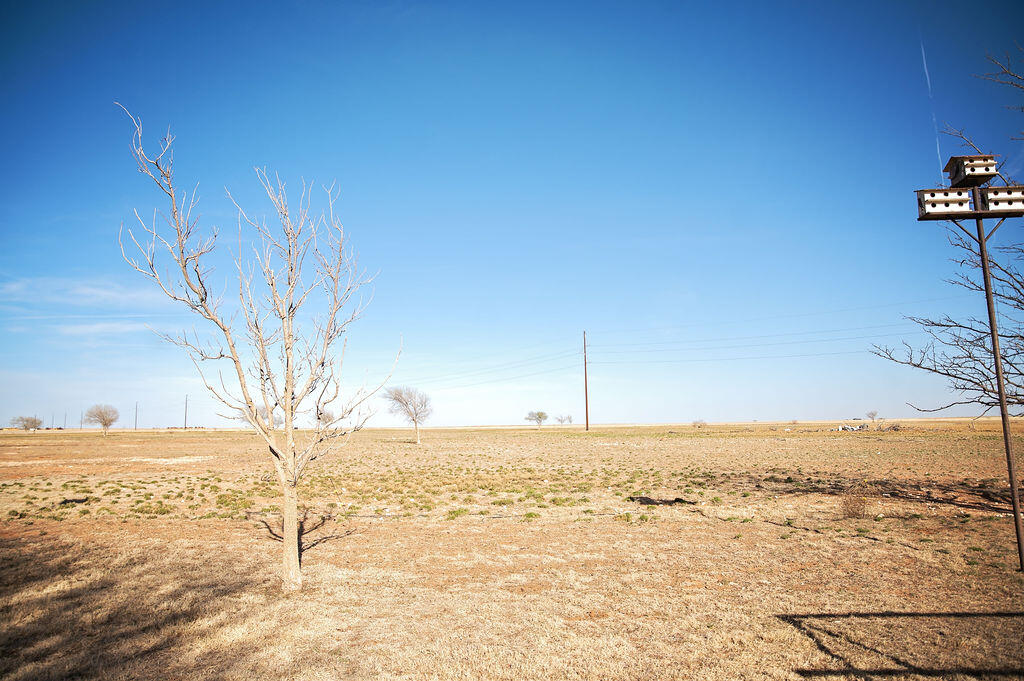 2581 County Road 365 Plains, TX 79355 - Photo 20 of 24 CFP_5597copy