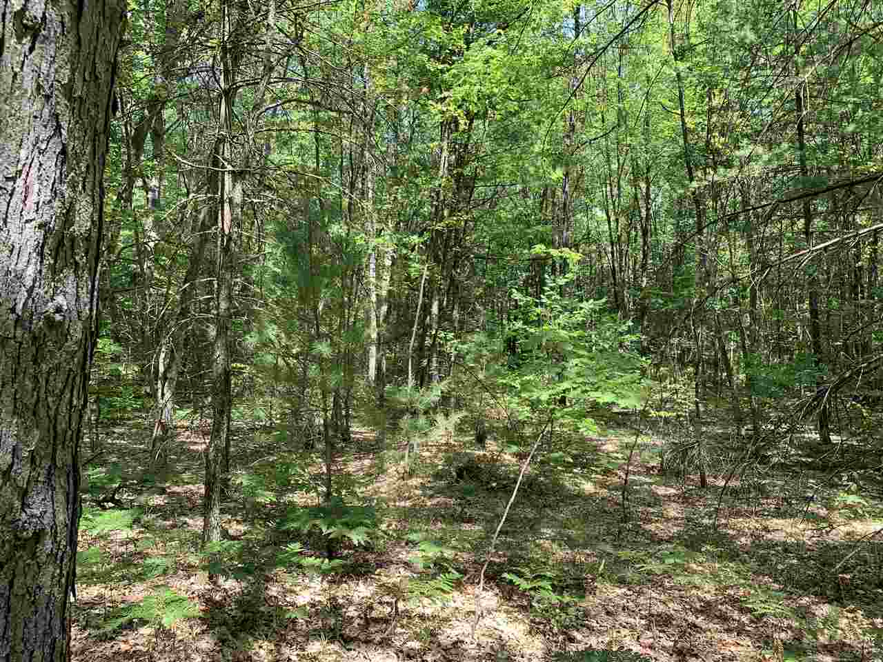 519 North Hawkins Road Luther, MI 49656 - Photo 33 of 39 1877283-32.JPG