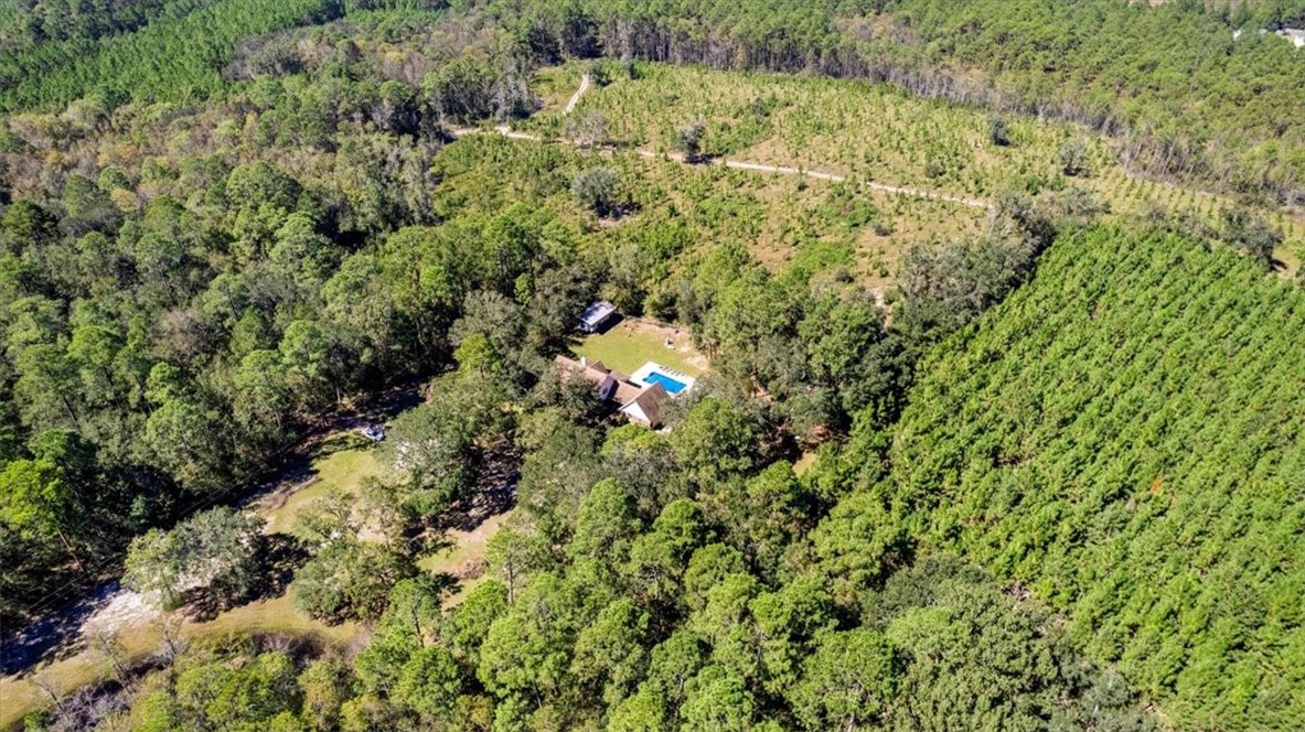 34 Barrett Cemetery Road Northeast Ludowici, GA 31316 - Photo 47 of 50