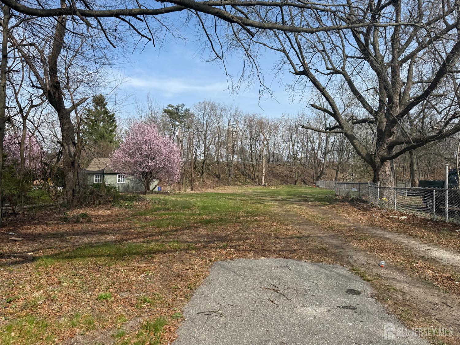 103 Logan Lane Bridgeport, NJ 08014 - Photo 11 of 11 a view of a yard with trees