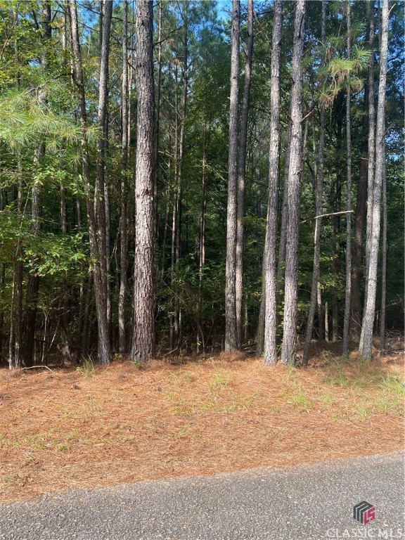 0 Three Three Notch Road Buckhead, GA 30625 - Photo 3 of 5