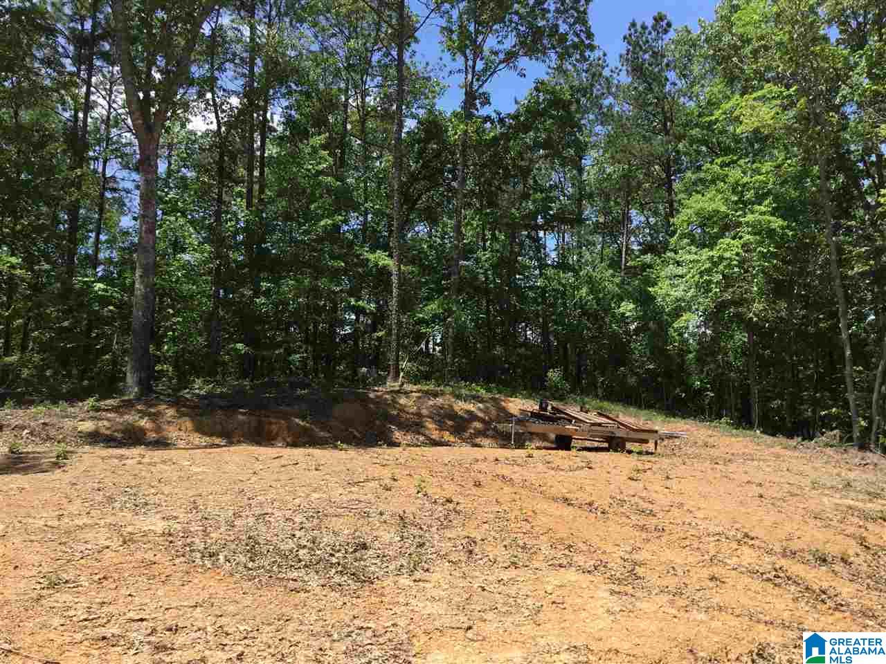 7237 Joinertown Road, Unit 7 09 ACRES Columbiana, AL 35051 - Photo 9 of 17