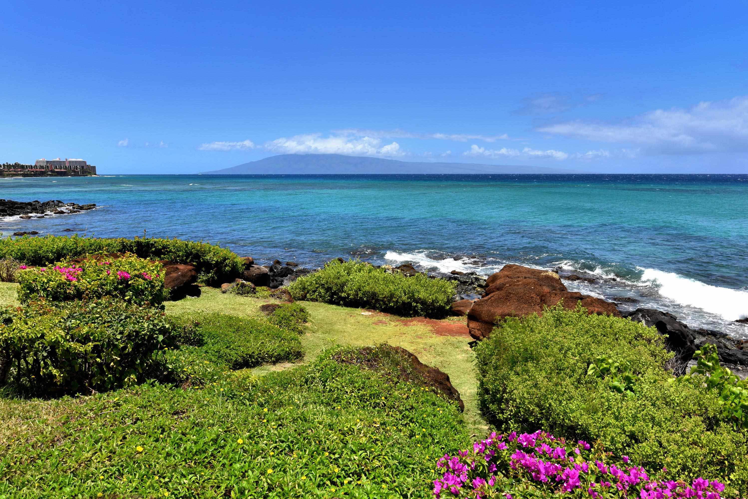 3975 Lower Honoapiilani Road, Unit 204 Lahaina, HI 96761 - Photo 41 of 50 Gallery Image 41