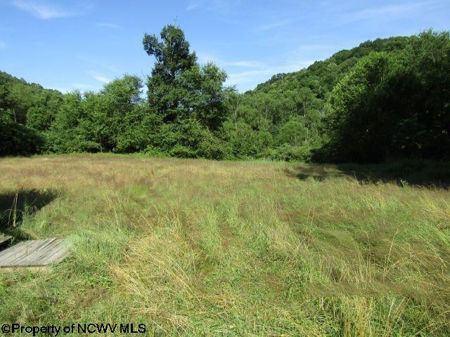 4129 Cherry Run Road Grafton, WV 26354 - Photo 2 of 12 Gallery Image 2