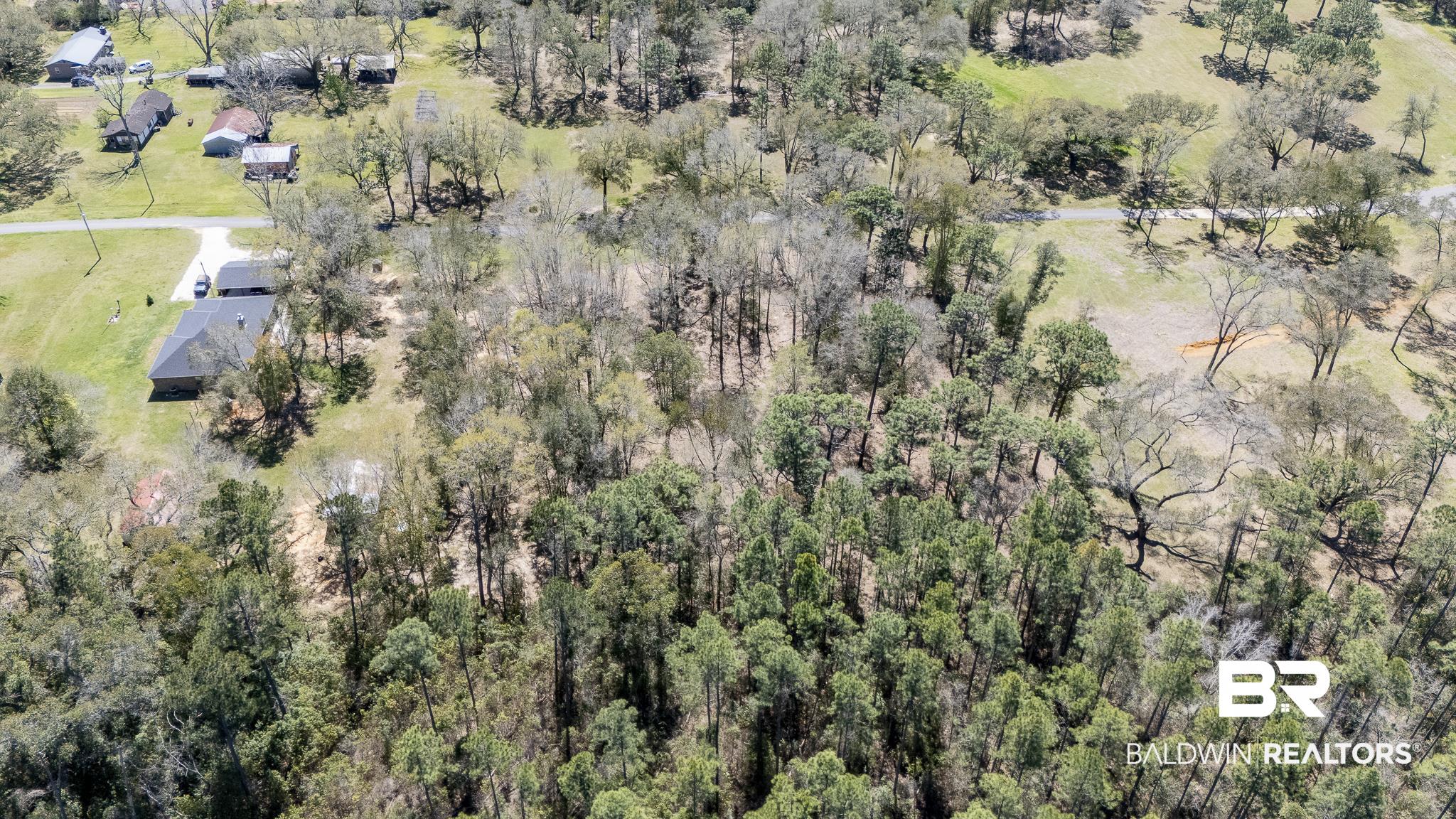 0 River Park Road Fairhope, AL 36532 - Photo 8 of 12 Bird's eye view with a forest view
