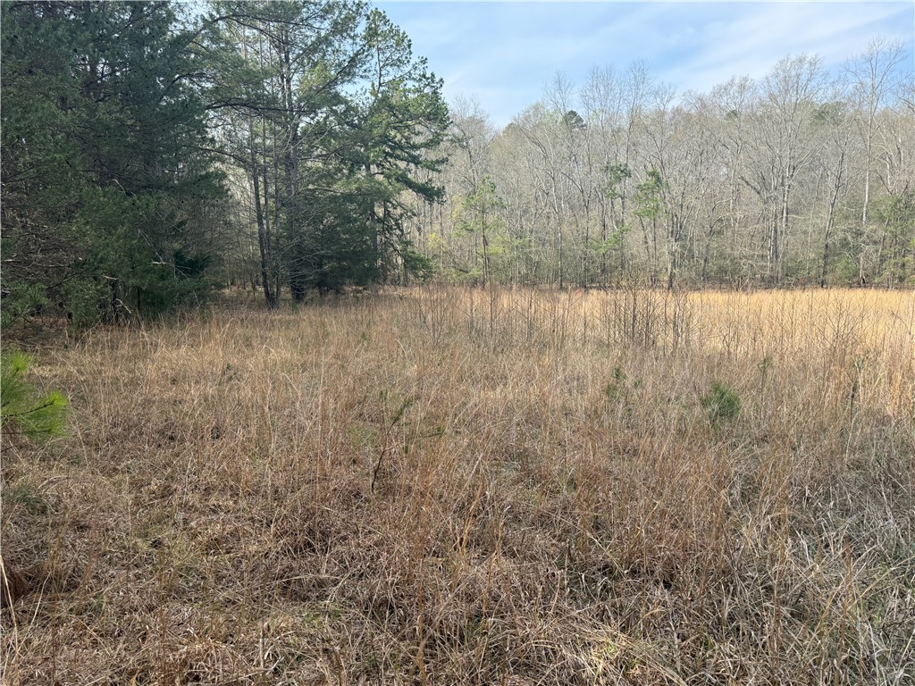 0 Holland Ford Road Pelzer, SC 29669 - Photo 17 of 35