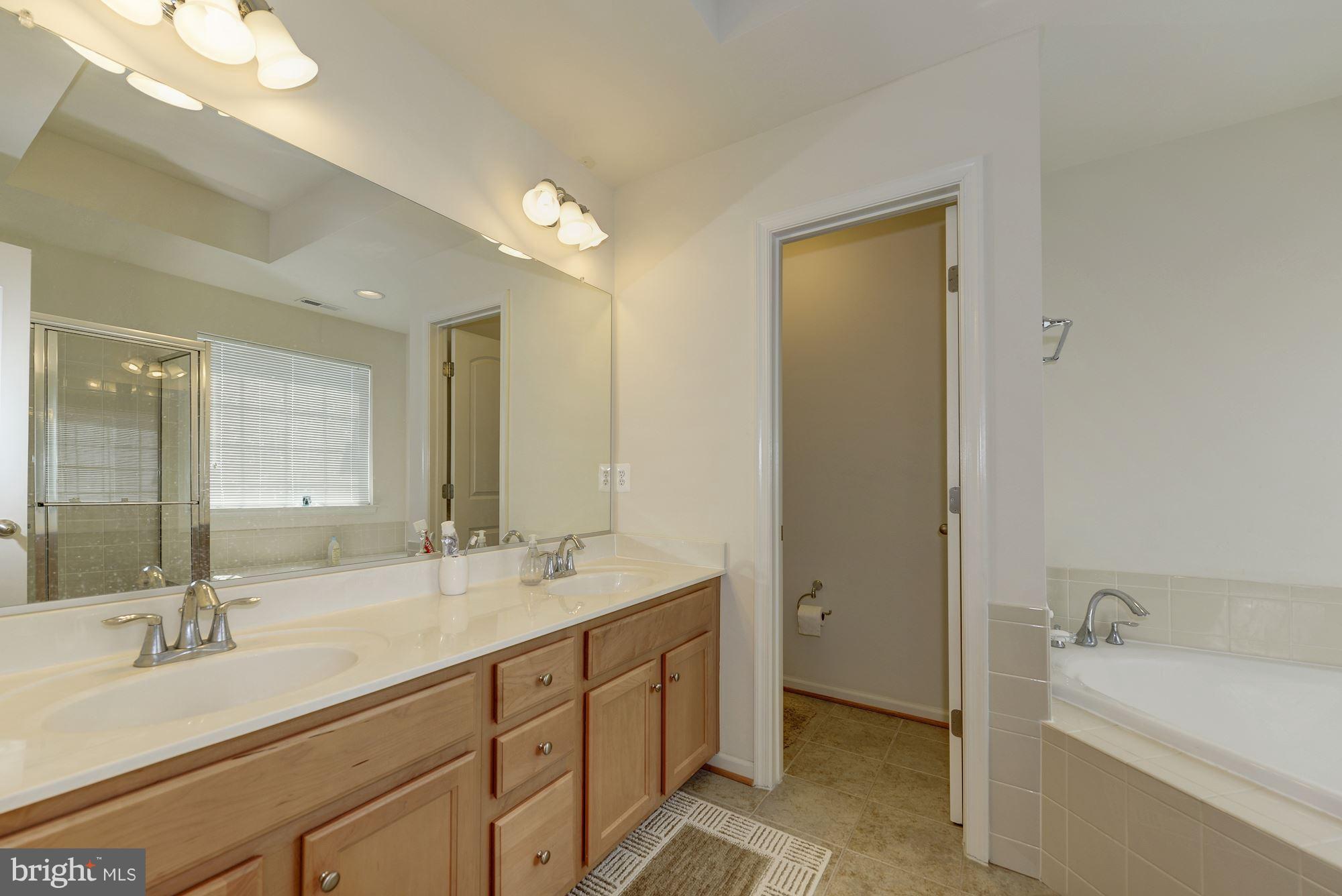22677 Flowing Spring Square Brambleton, VA 20148 - Photo 19 of 30 Master Bathroom