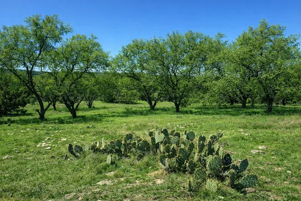 $190,000 | Tbd Tbd View Circle, Lampasas, TX 76550